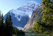 开云-Scout回归赛场，回归赛场首场状态亮眼，勇士观众沸腾！的简单介绍