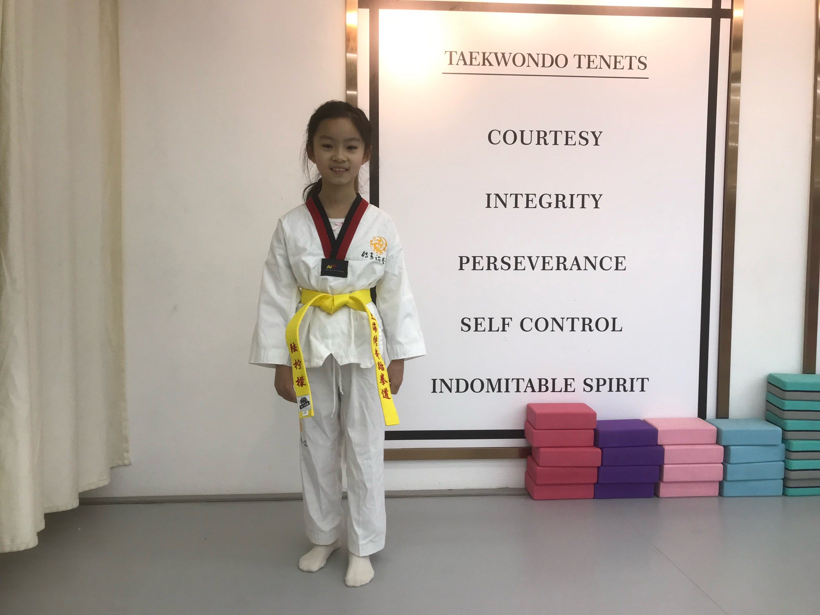 跆拳道小组赛上演强强对话，胶东貔貅队逆转陇右灰熊队，团队配合流畅；防线高度稳定的简单介绍